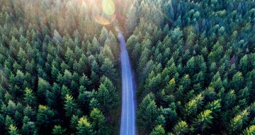 Foamit sustainability report