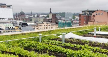 Grønt tak med Glasopor på The HUB